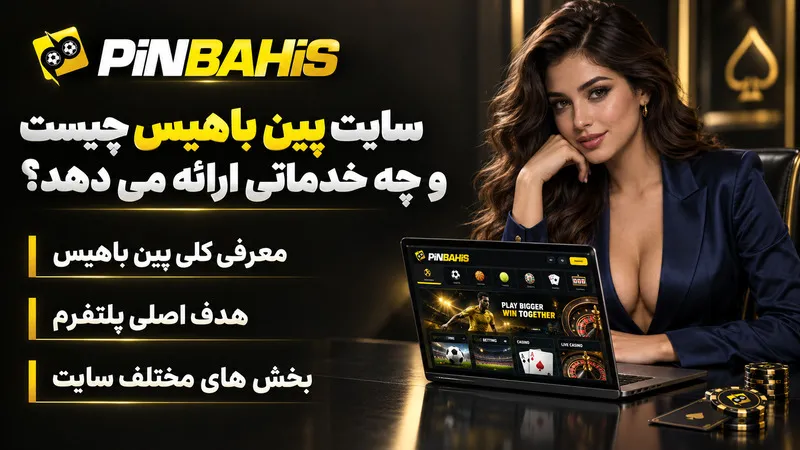 سایت پین باهیس چیست و چه خدماتی ارائه می دهد؟